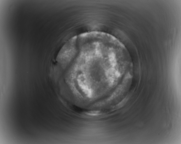 X0000087620090200705252011