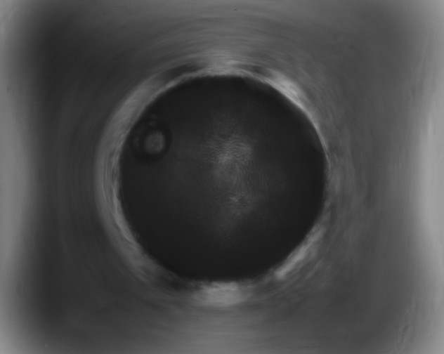 X0000087620097200705252011