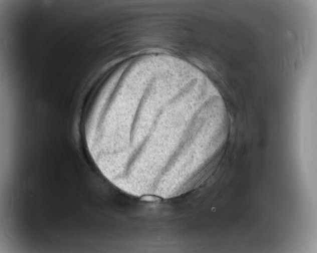 X0000087620098200705252011