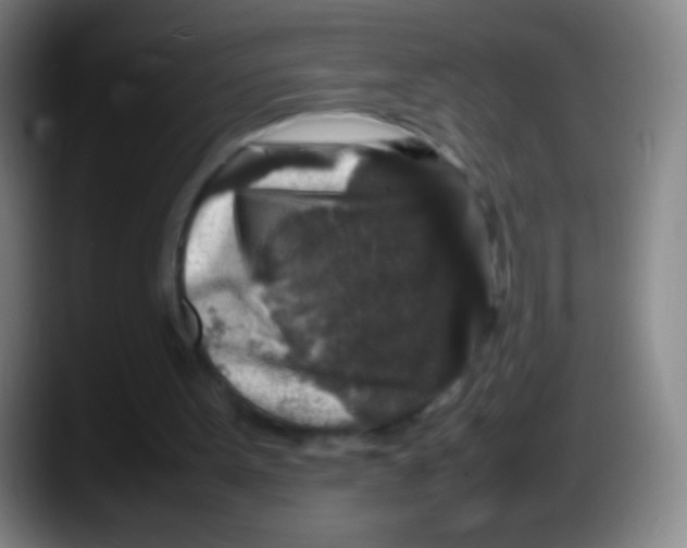 X0000087620099200705252011