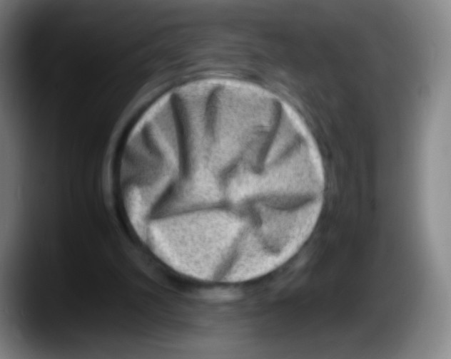 X0000087620102200705252011