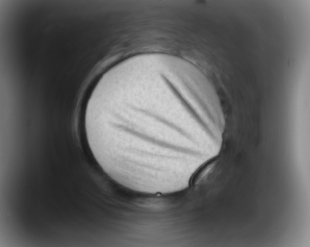 X0000087620104200705252010