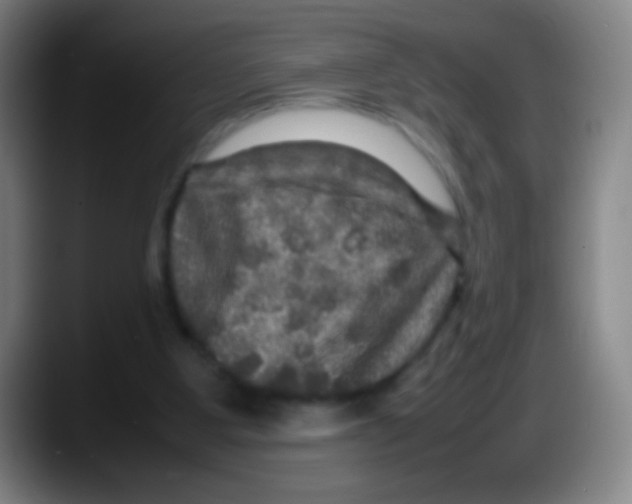 X0000087620107200705252010