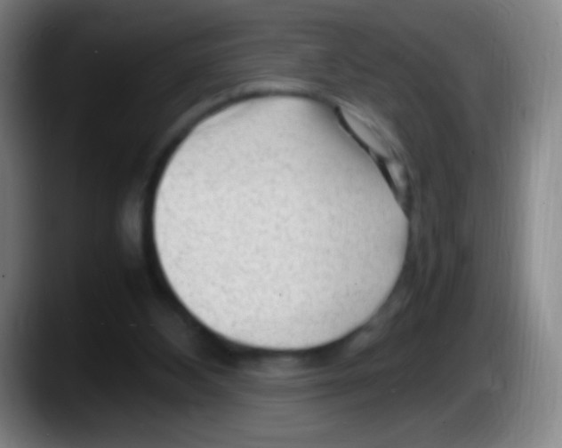 X0000087620108200705252010