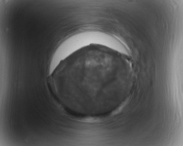 X0000087620109200705252010