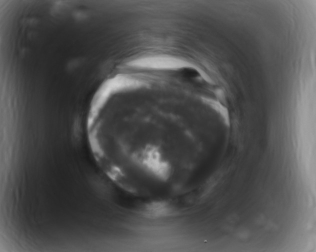 X0000087620114200705252010