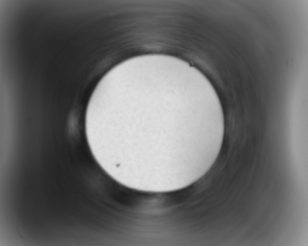 X0000087620116200705252010