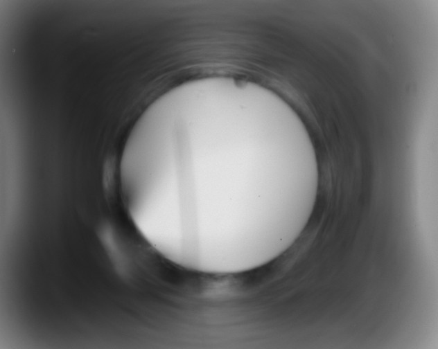 X0000087620118200705252010