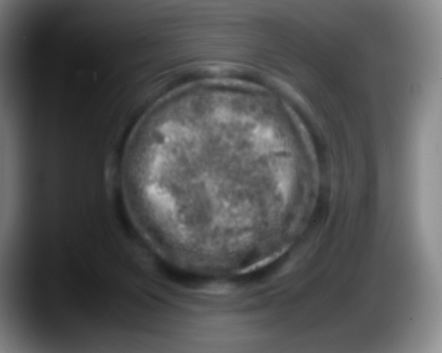 X0000087620119200705252010