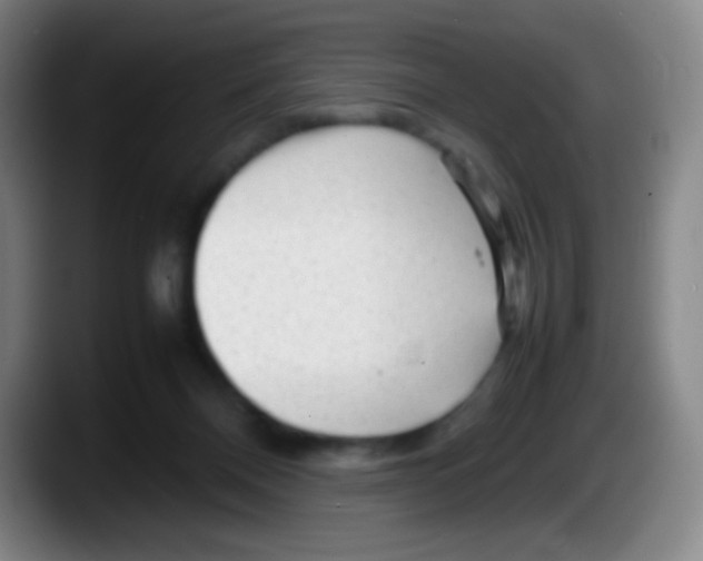 X0000087620120200705252010