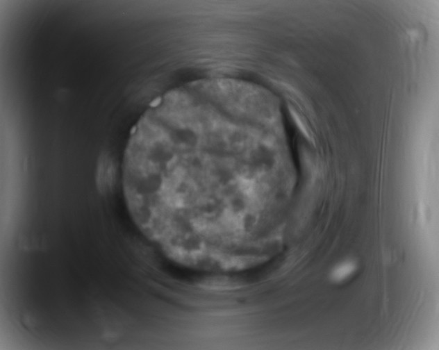 X0000087620123200705252010