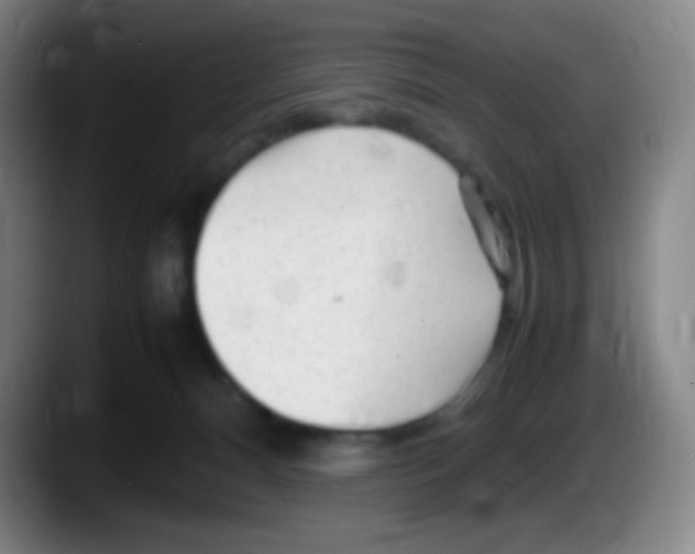 X0000087620128200705252010