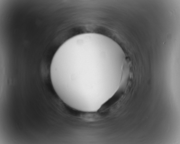 X0000087620129200705252010
