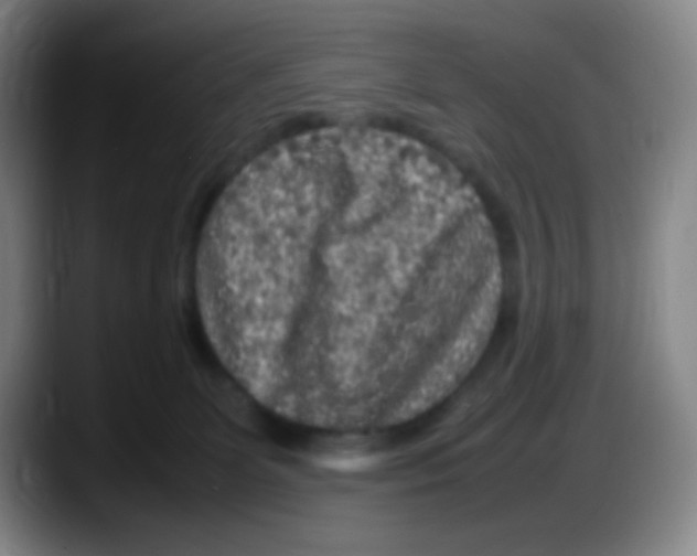 X0000087620131200705252010