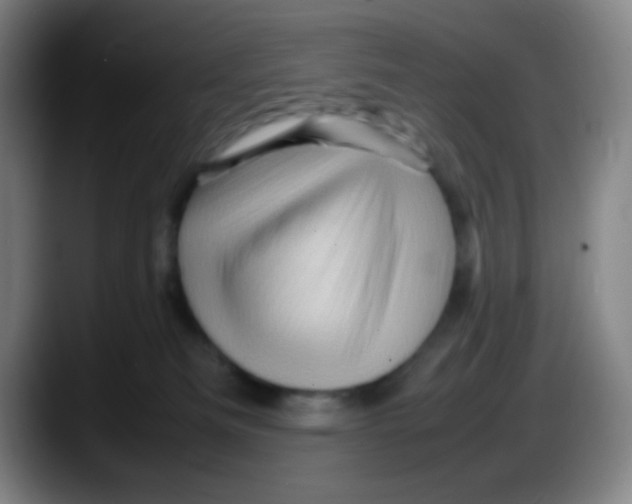 X0000087620133200705252010