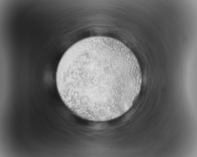 X0000087620135200705252010