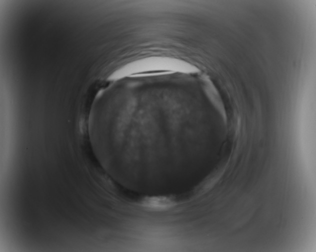 X0000087620137200705252010
