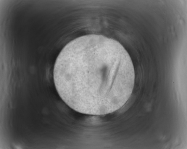 X0000087620140200705252010