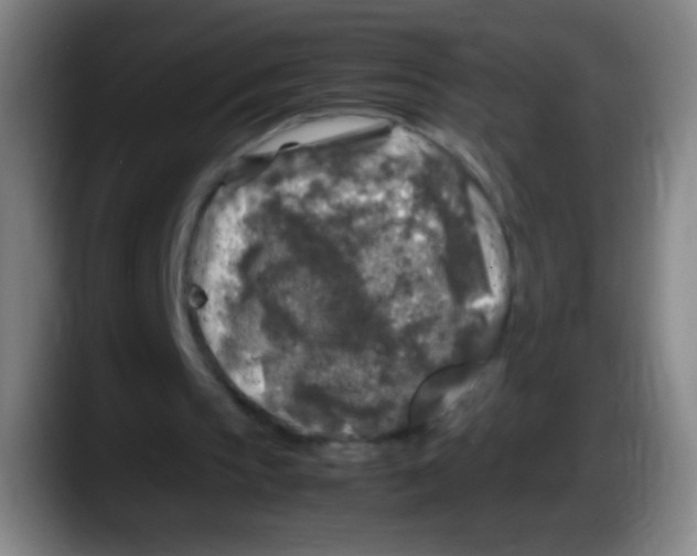 X0000087620145200705252009