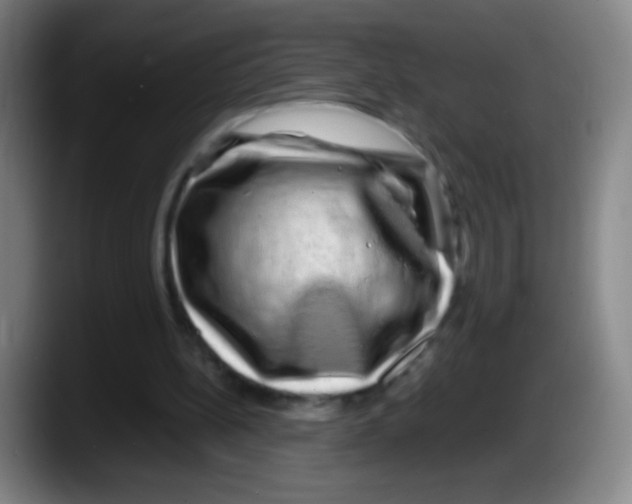 X0000087620148200705252009