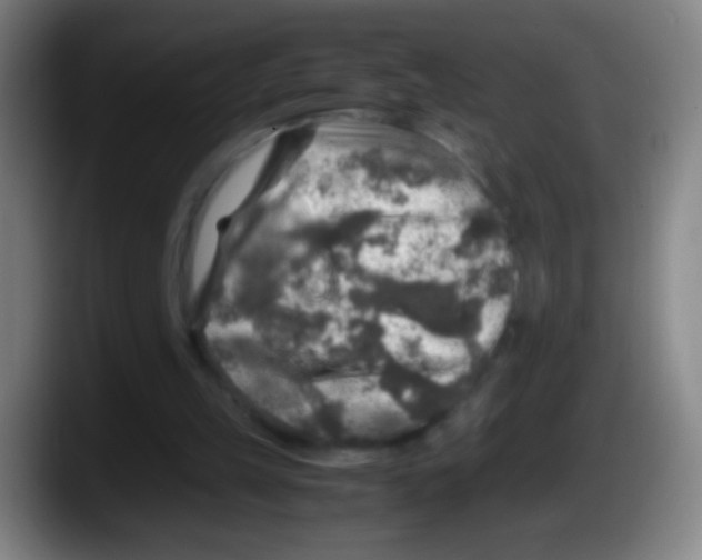 X0000087620149200705252009