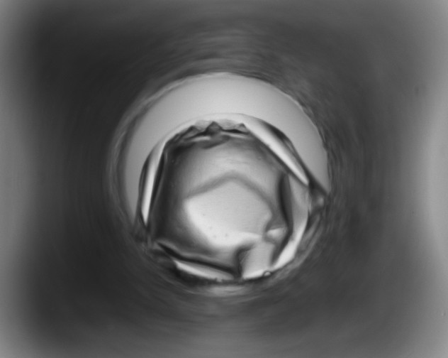 X0000087620150200705252009