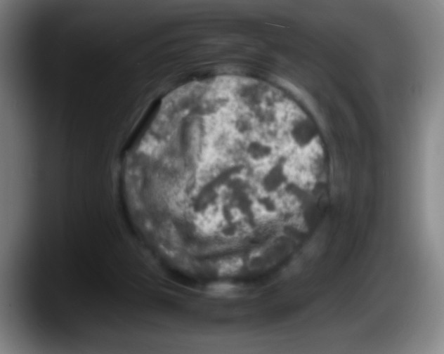 X0000087620153200705252009