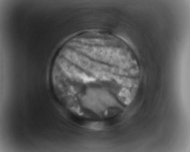 X0000087620155200705252009