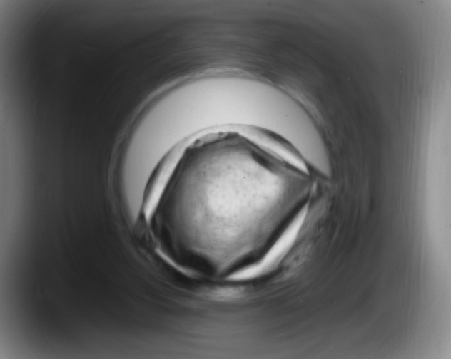 X0000087620156200705252009