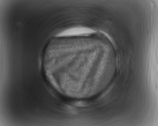 X0000087620157200705252010