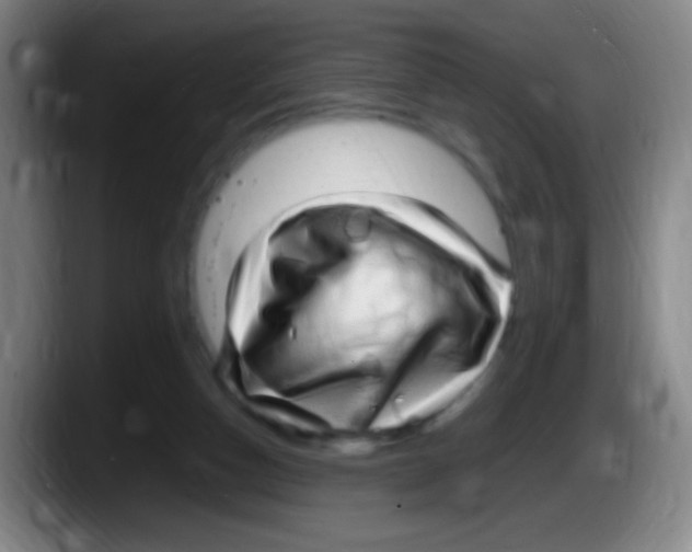 X0000087620162200705252010