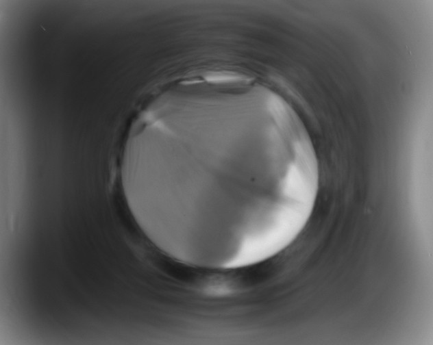 X0000087620163200705252010
