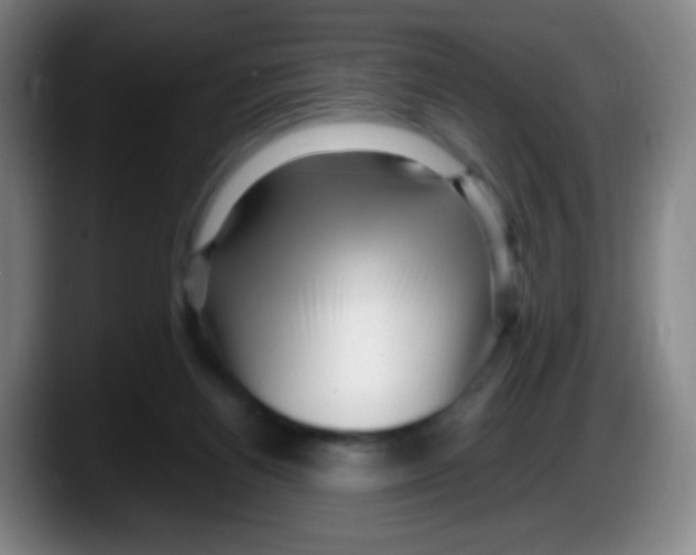 X0000087620164200705252010