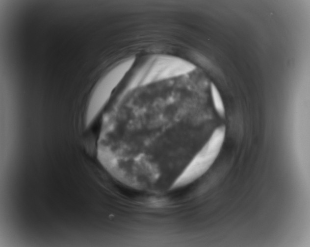 X0000087620165200705252010