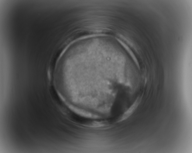 X0000087620166200705252010