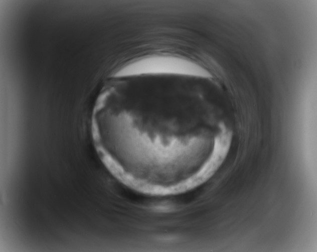 X0000087620169200705252010
