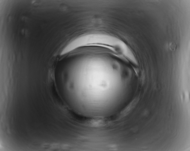 X0000087620172200705252010