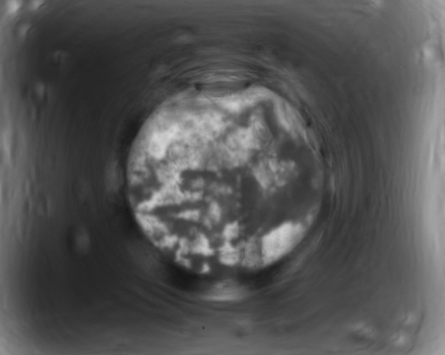 X0000087620173200705252010