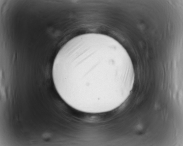 X0000087620174200705252010