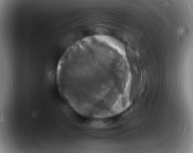 X0000087620177200705252010