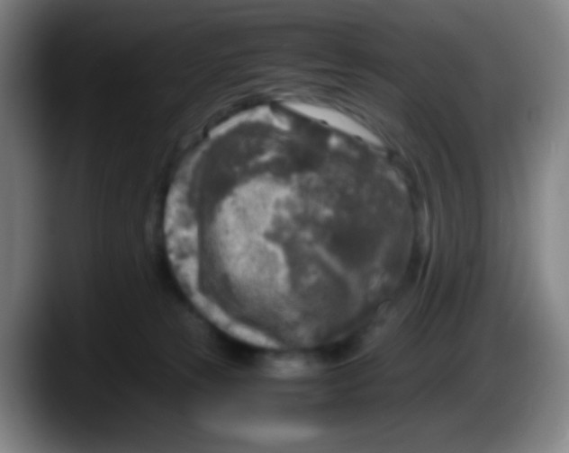 X0000087620181200705252010