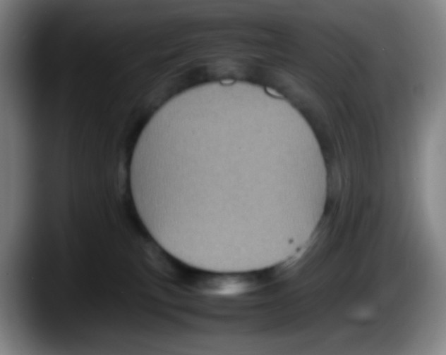X0000087620183200705252010