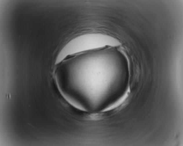X0000087620184200705252010