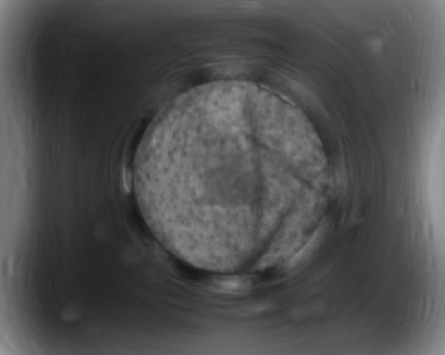 X0000087620187200705252010