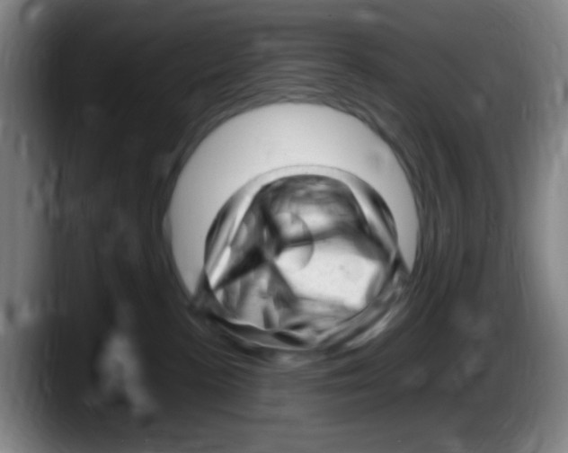 X0000087620188200705252010