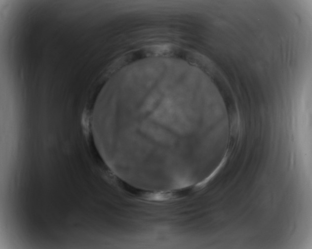 X0000087620191200705252010