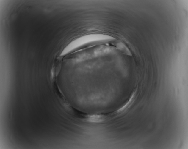 X0000087620192200705252010