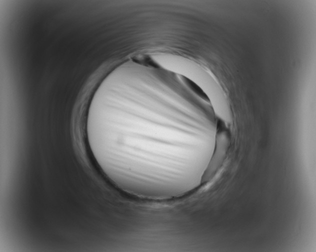 X0000087620193200705252009
