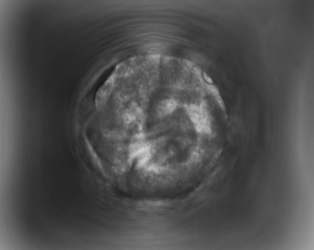 X0000087620194200705252009
