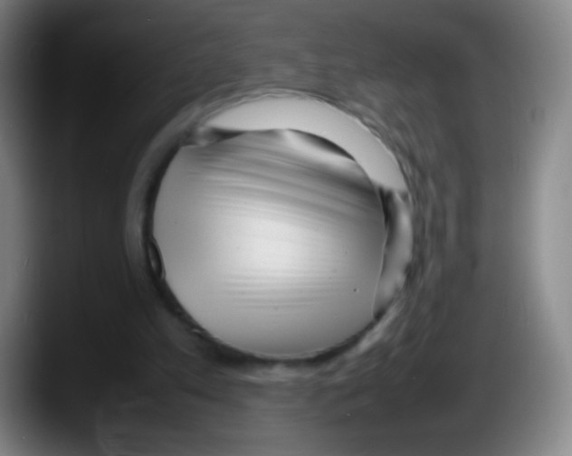 X0000087620197200705252009